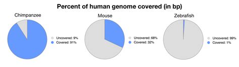 are humans close to bananas.